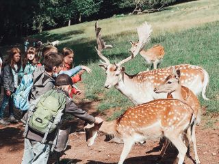 Tierpark